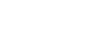 دیناسافت